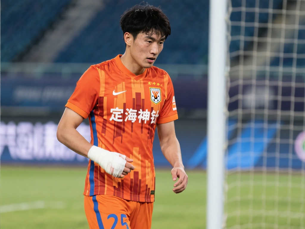 综上所述 综上所述